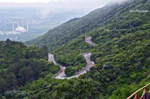 Margalla Hills