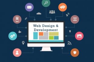 web develoment services